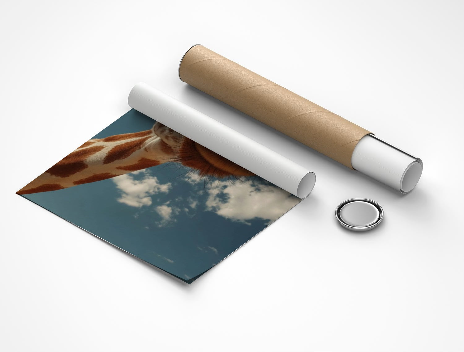 Rolled poster