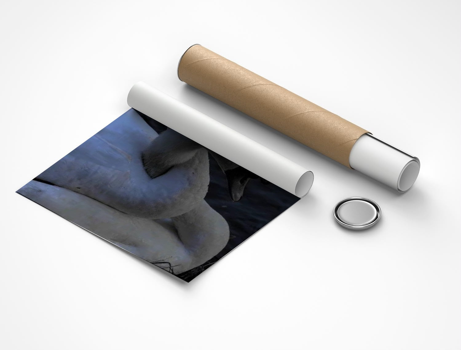Rolled poster