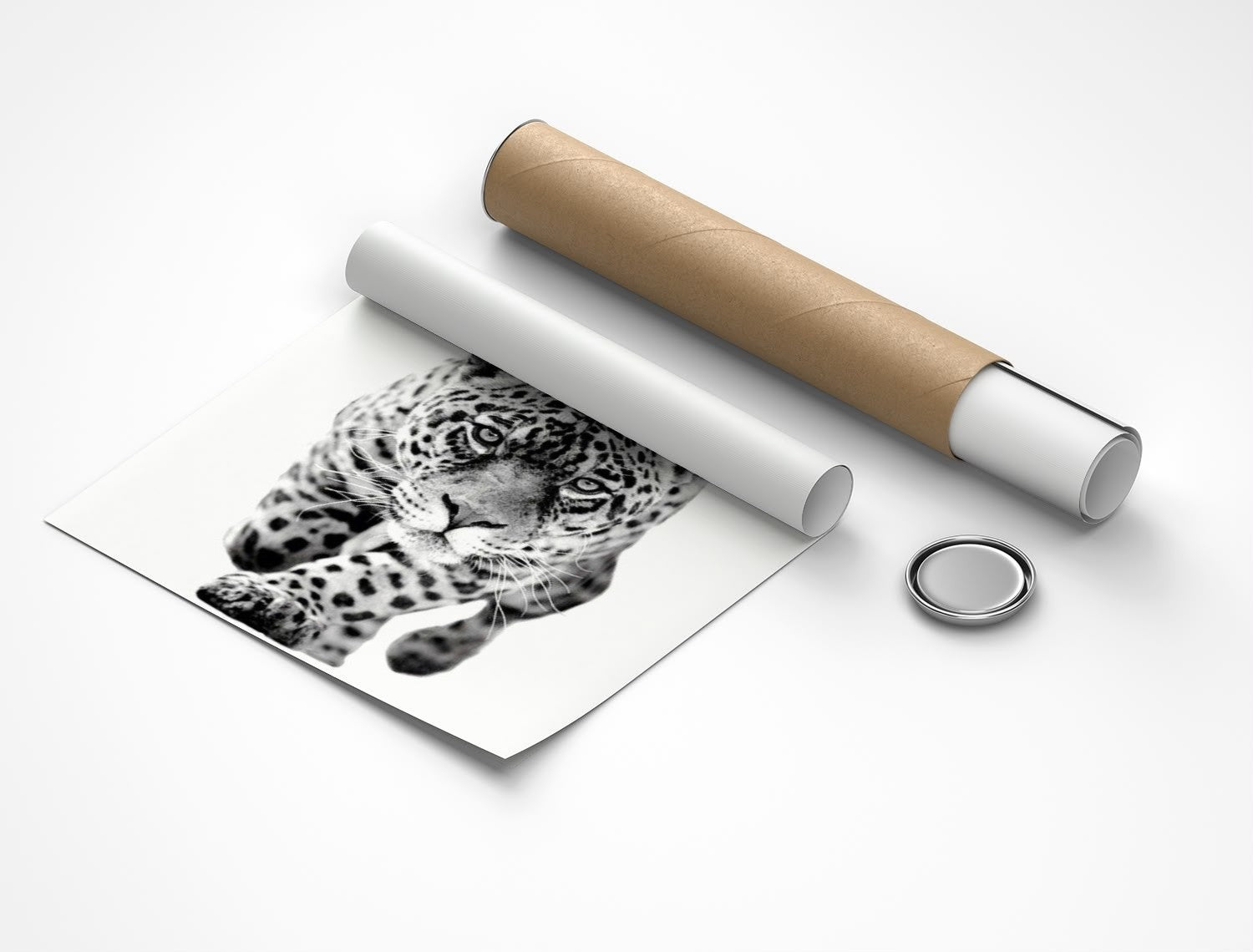 Rolled poster
