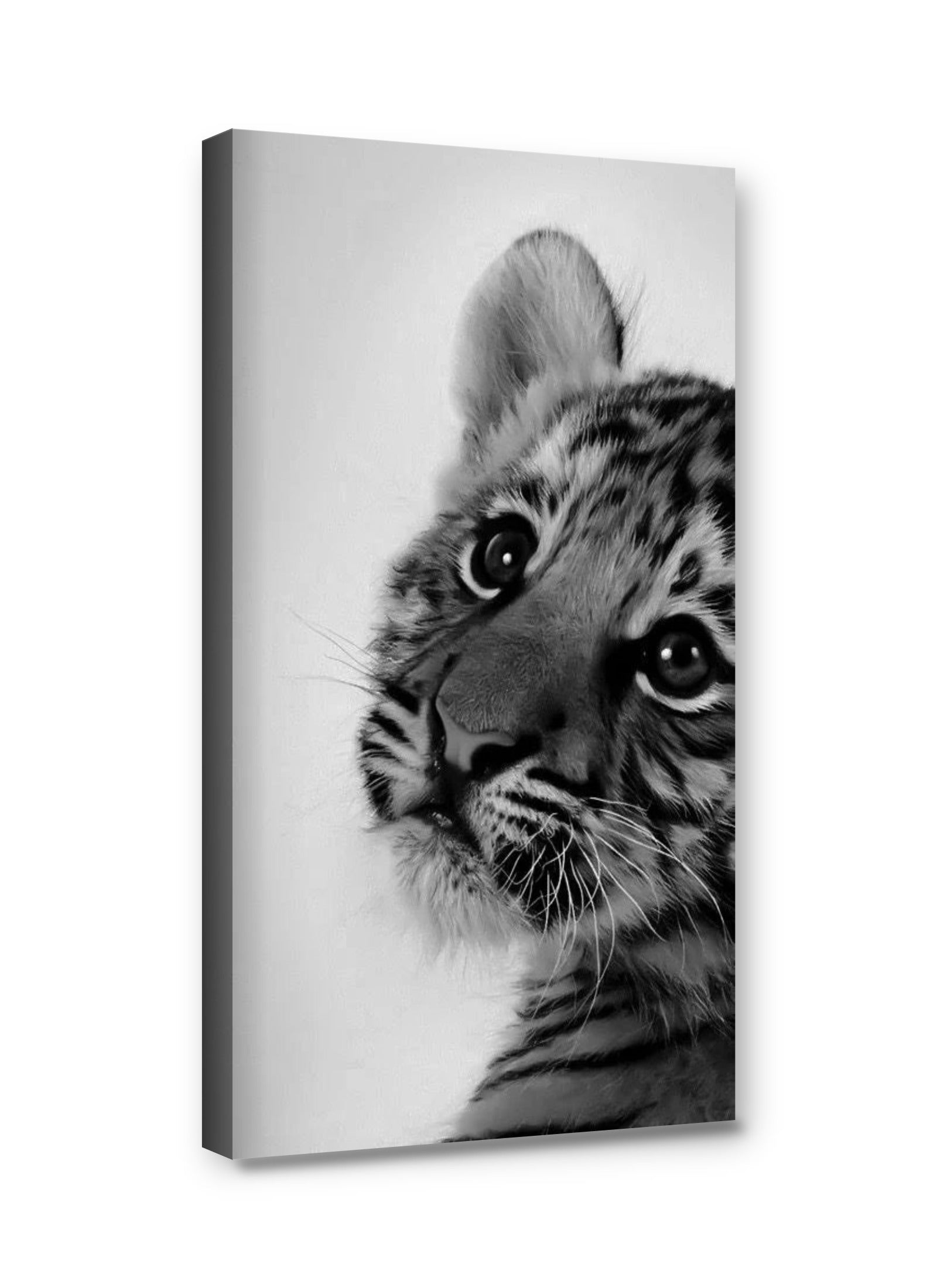 Framed canvas