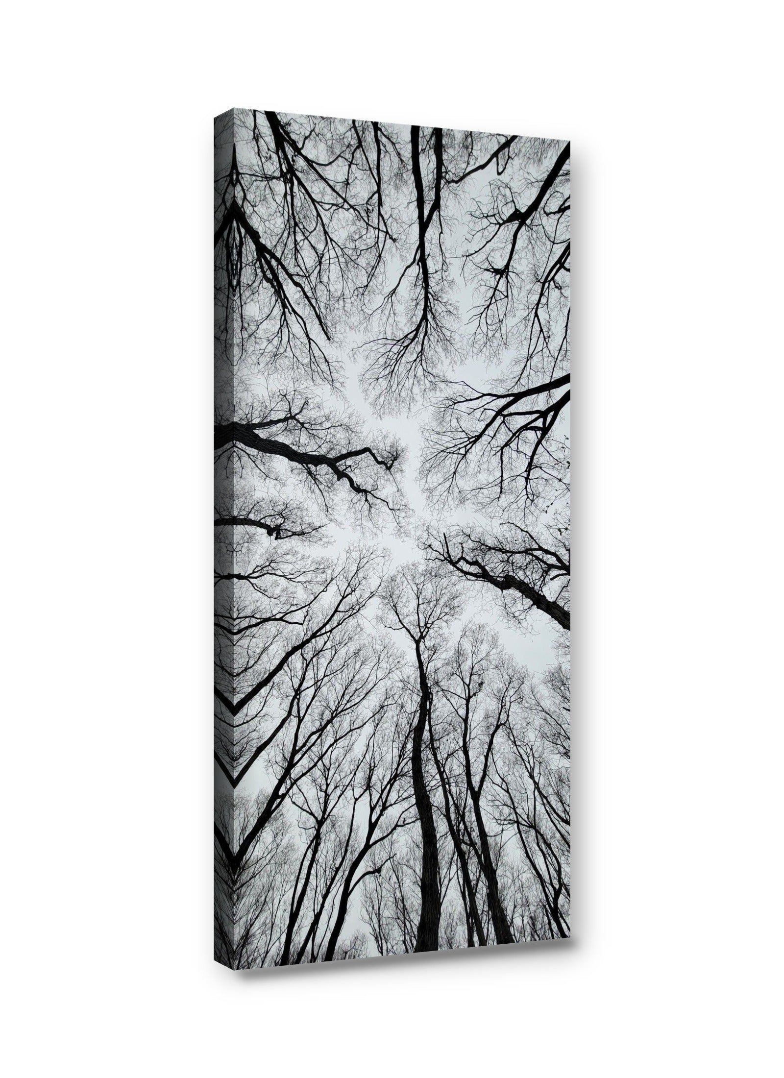 Framed canvas