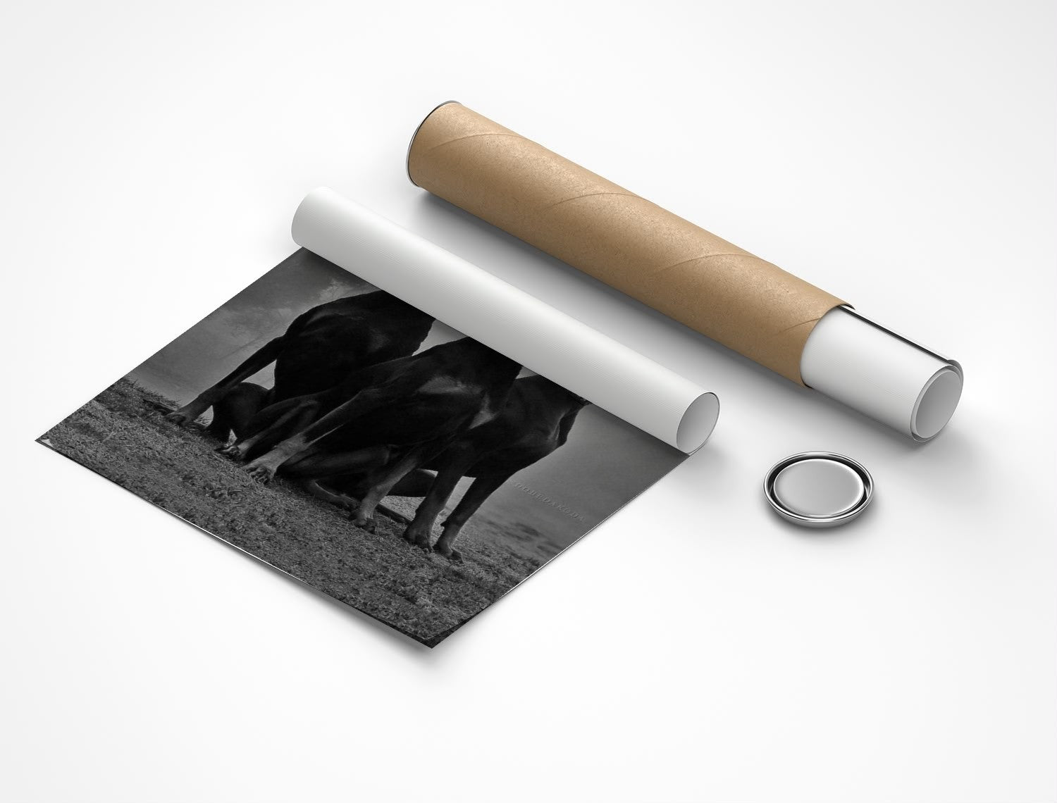 Rolled poster