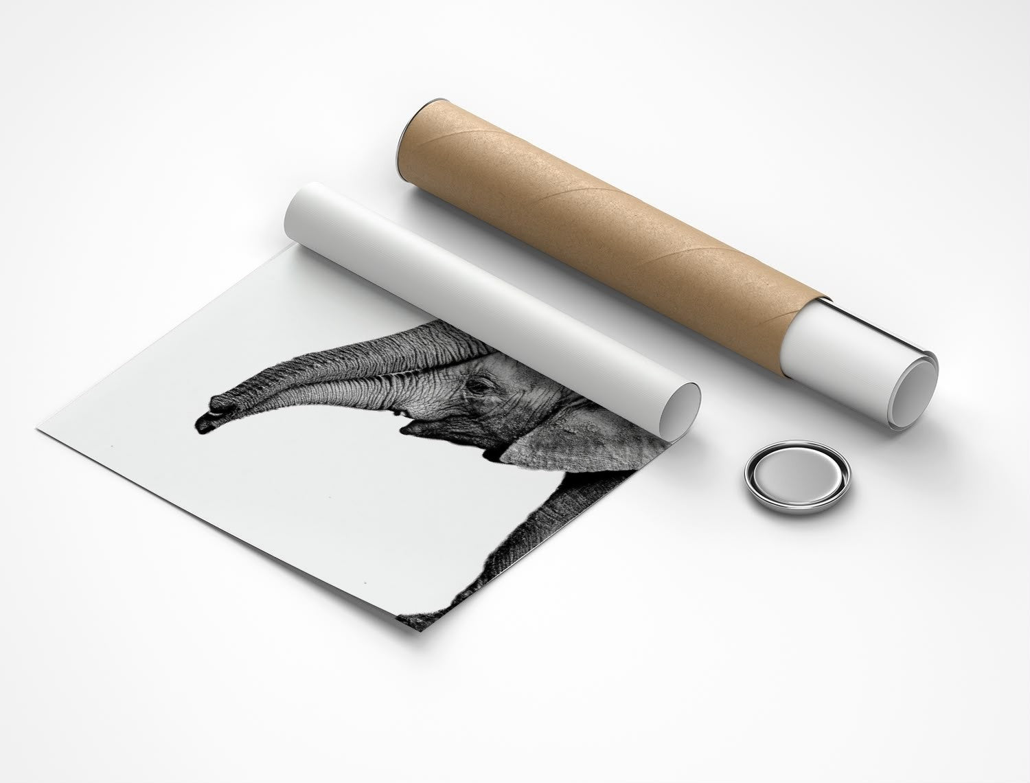 Rolled poster