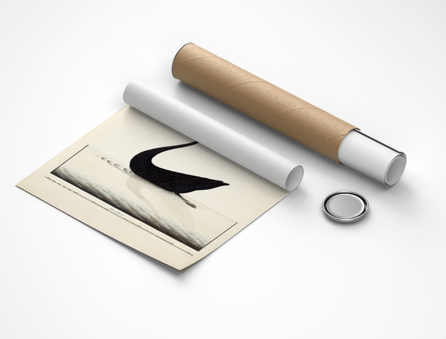 Rolled poster