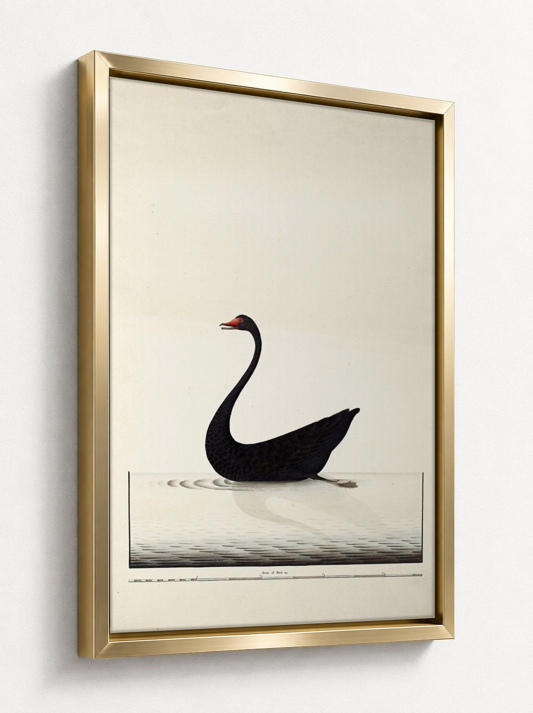 Gold floater