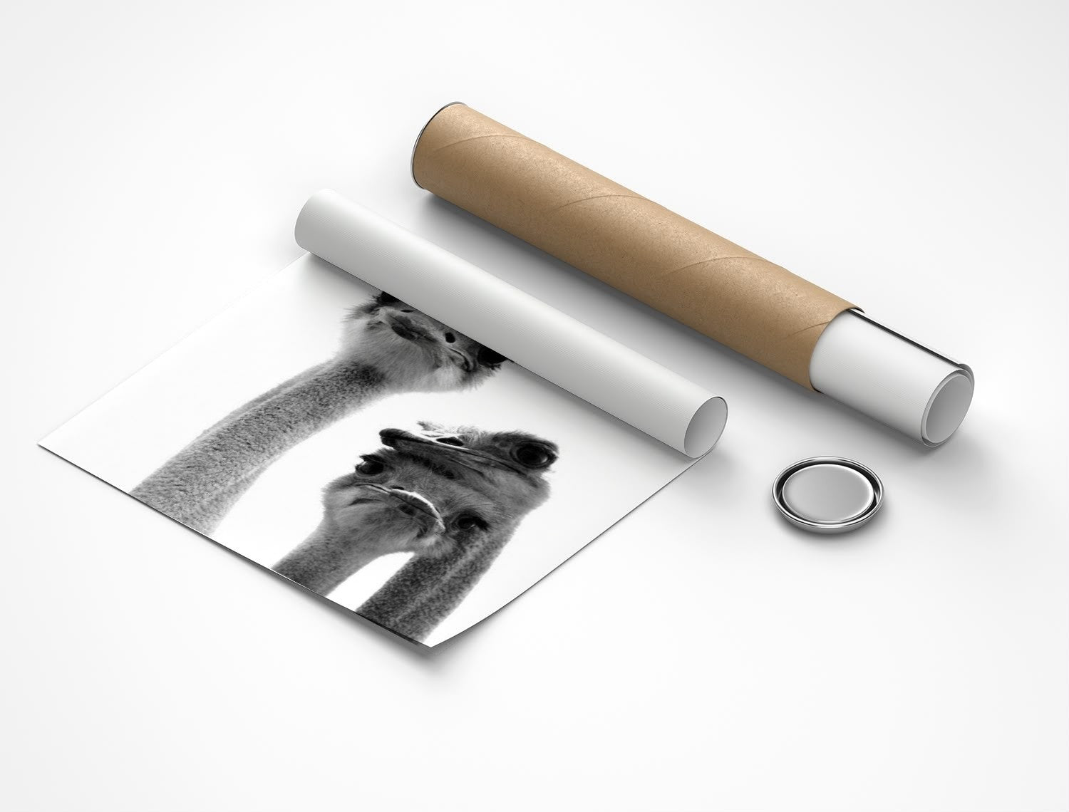 Rolled poster