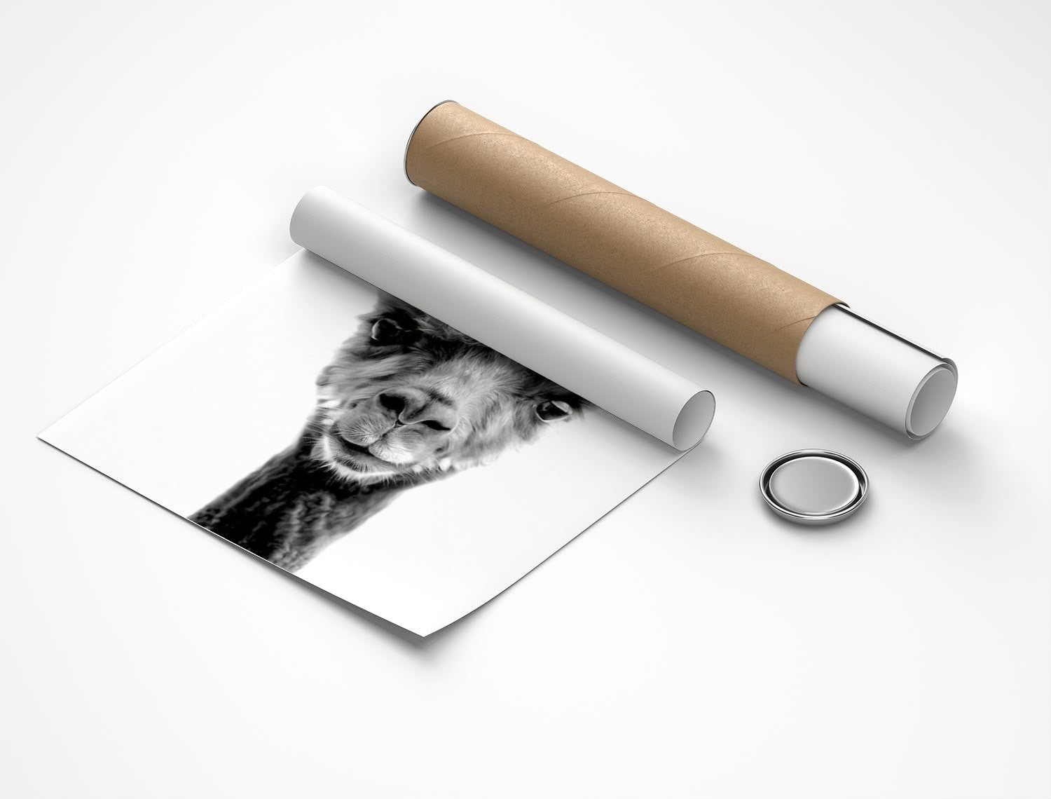 Rolled poster
