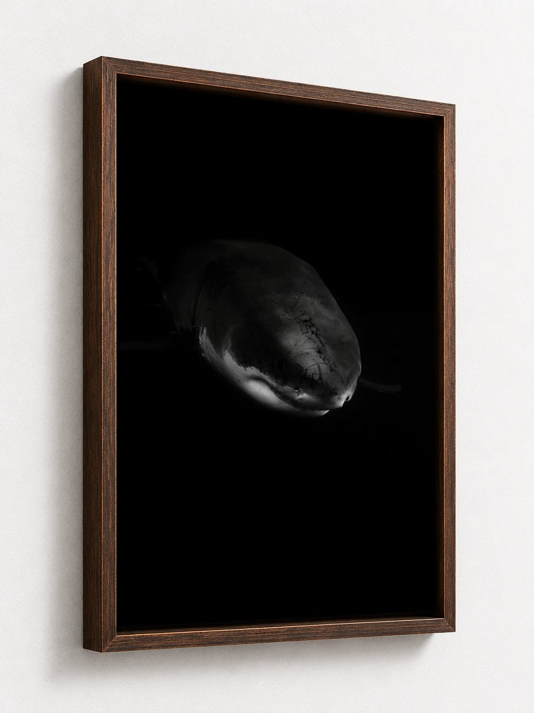 Walnut floater