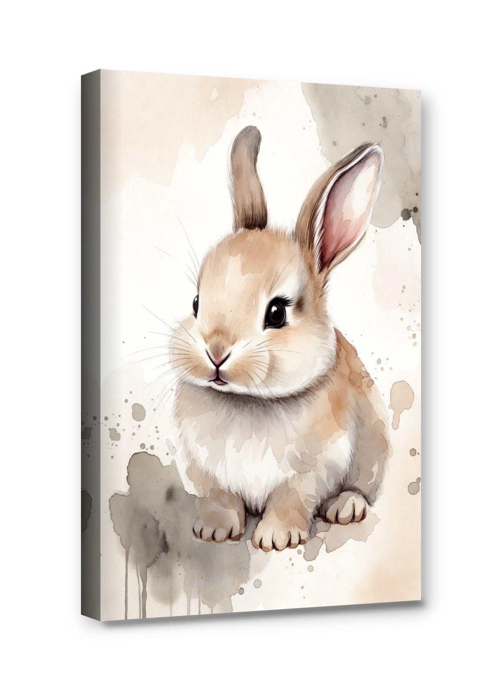 Framed canvas