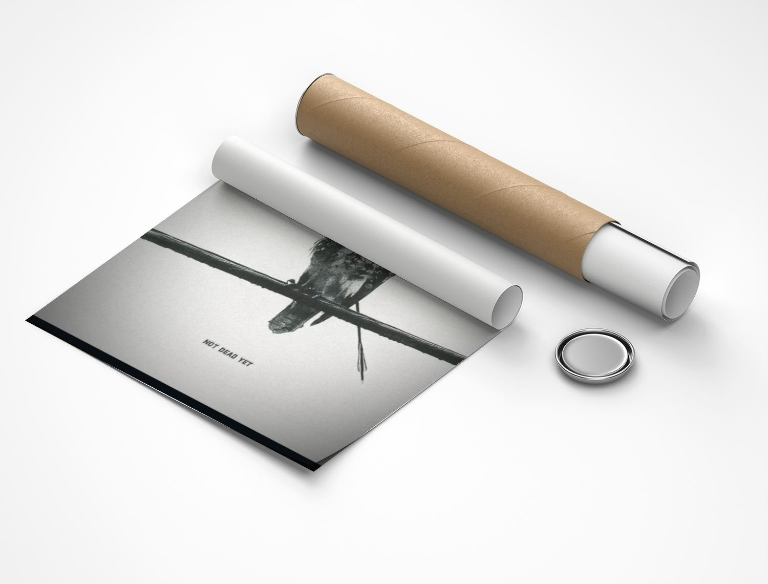 Rolled poster