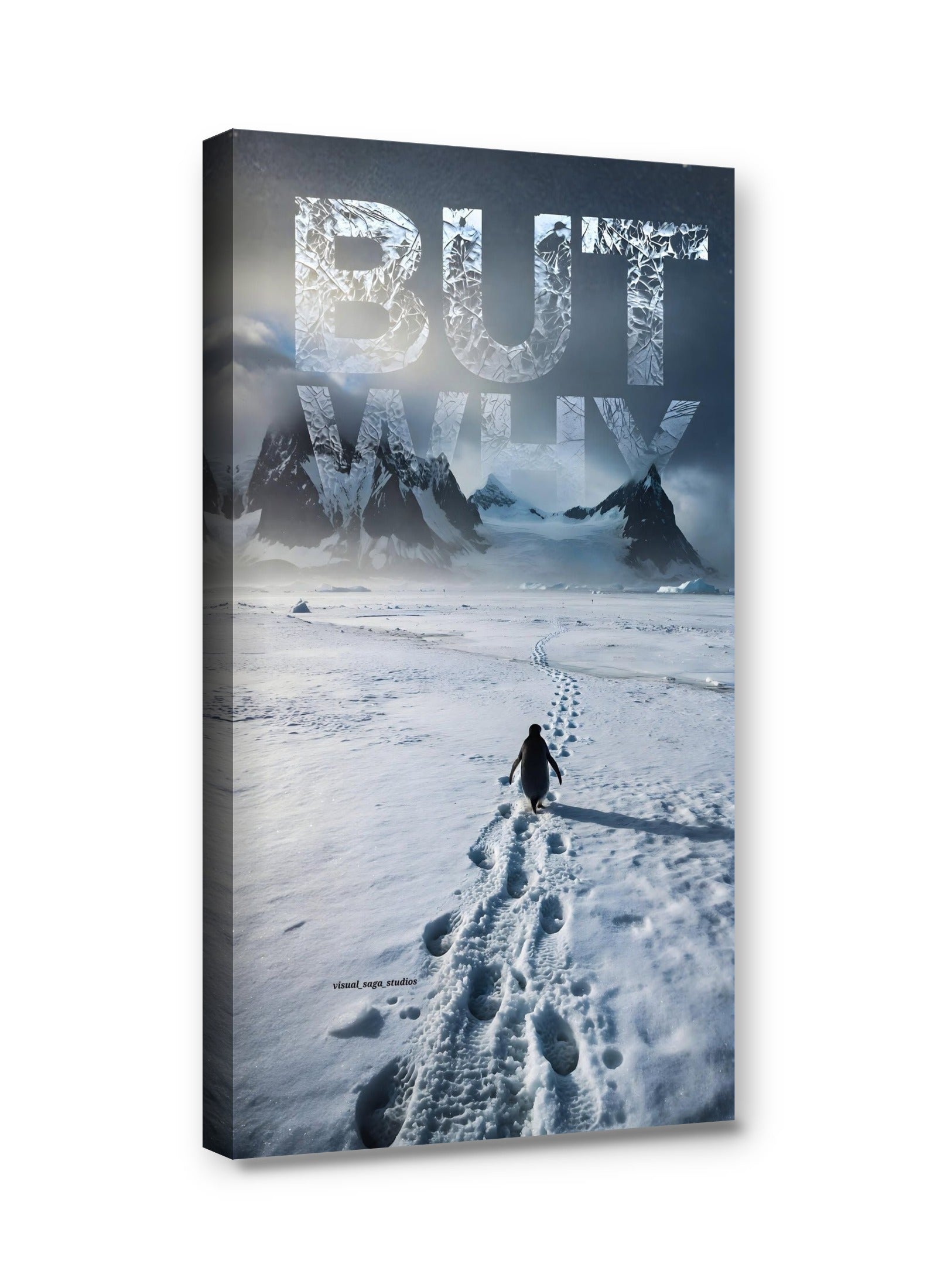 Framed canvas