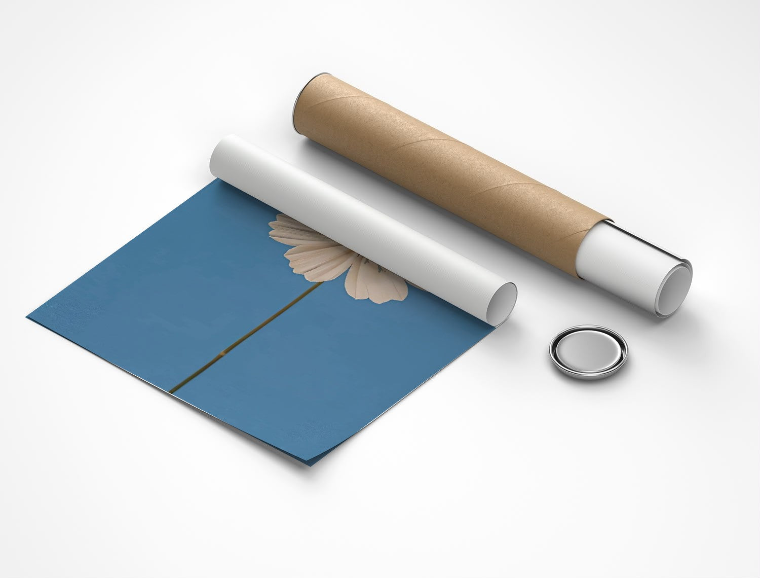 Rolled poster