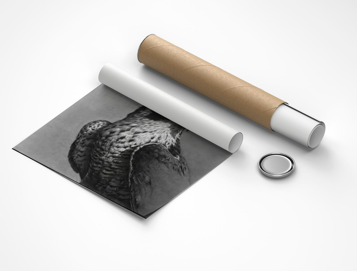 Rolled poster
