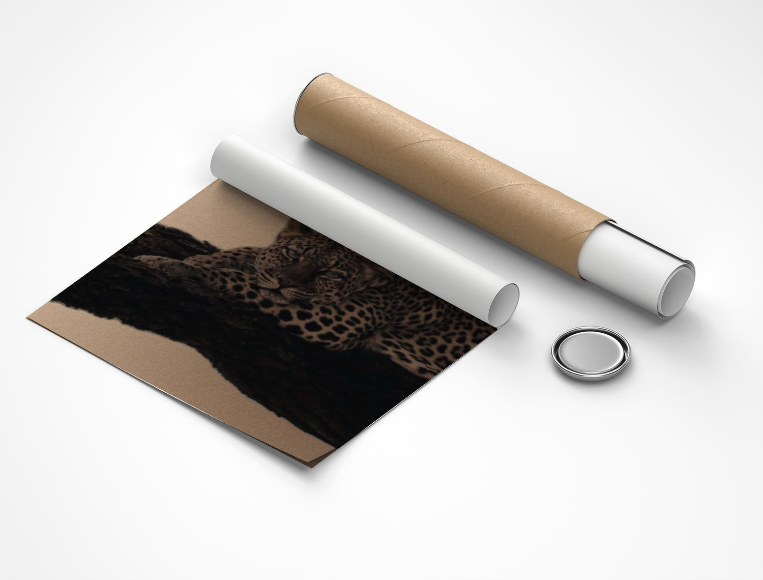 Rolled poster