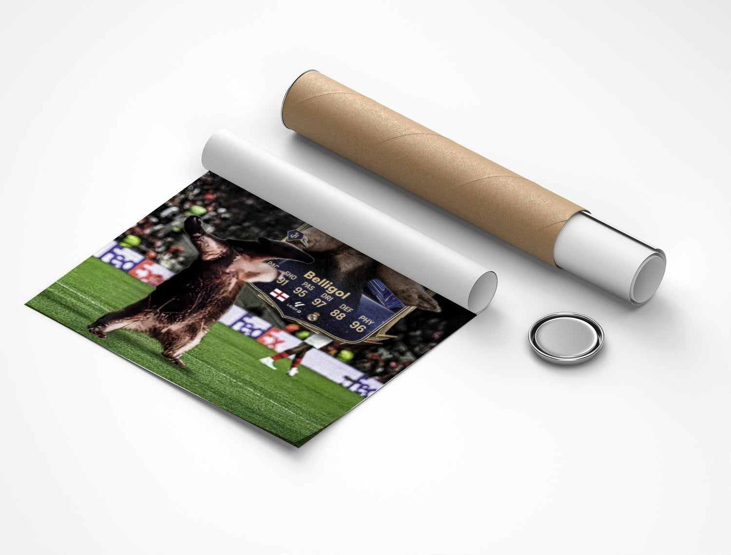 Rolled poster