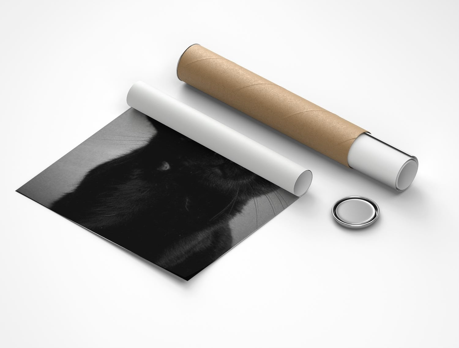 Rolled poster