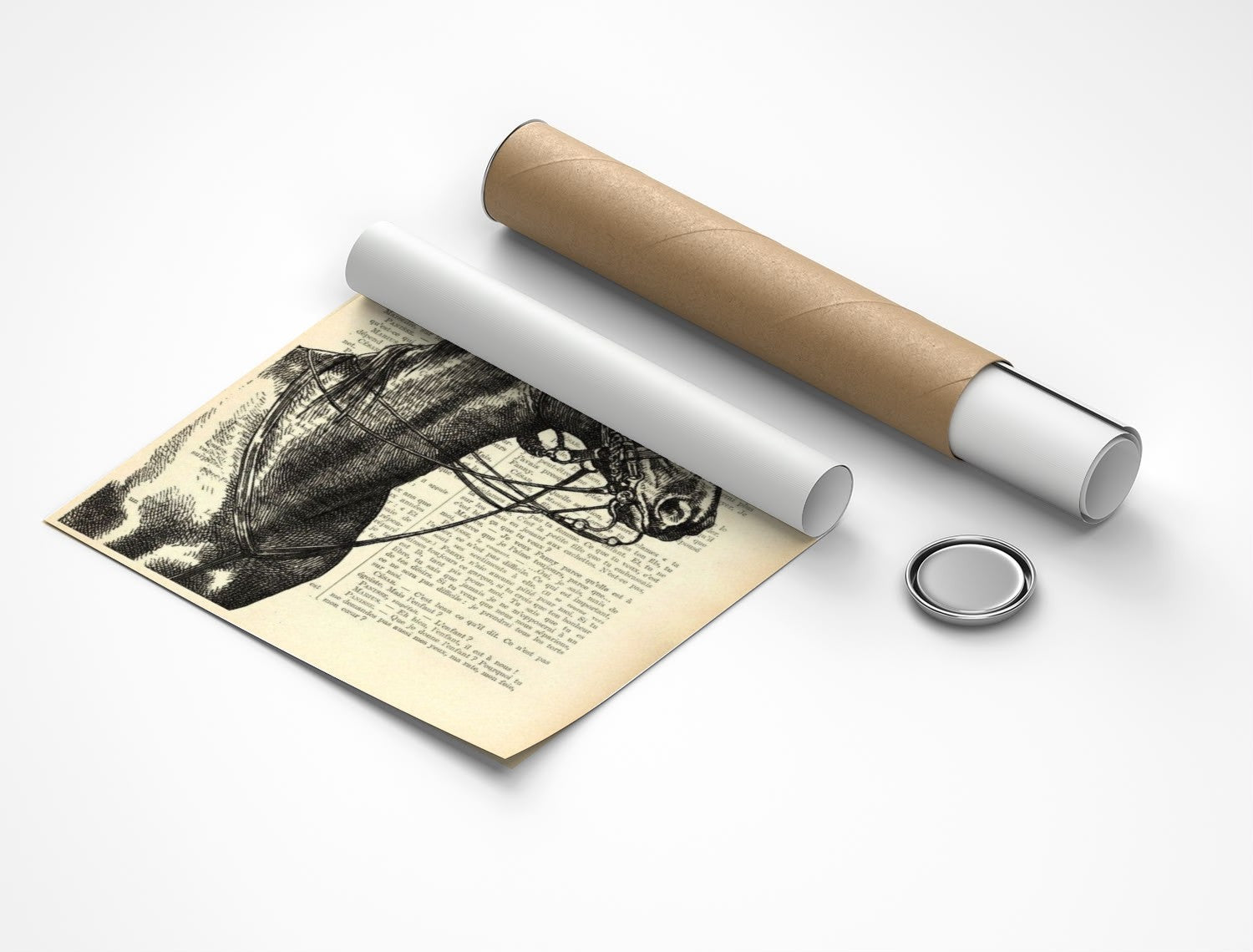 Rolled poster
