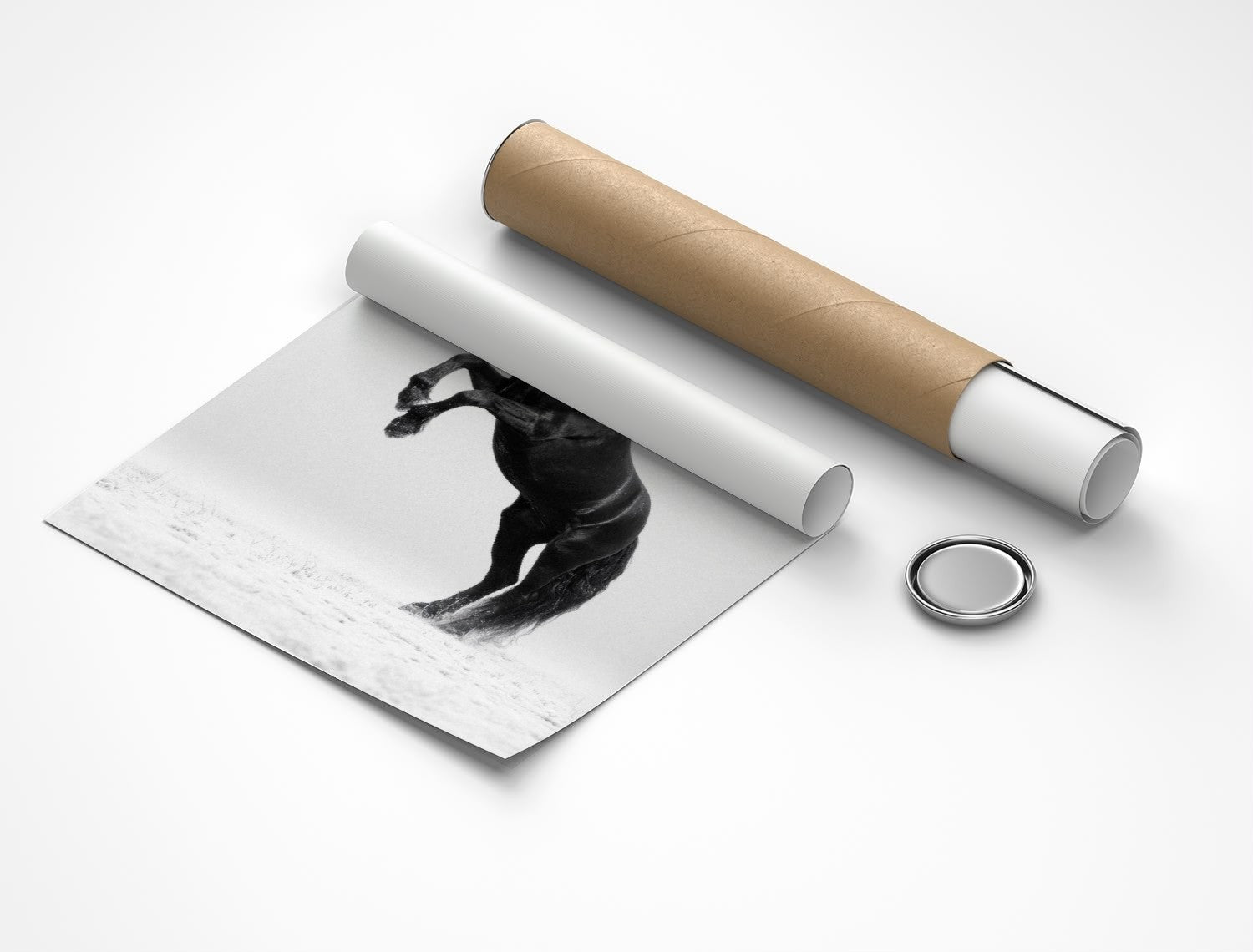 Rolled poster