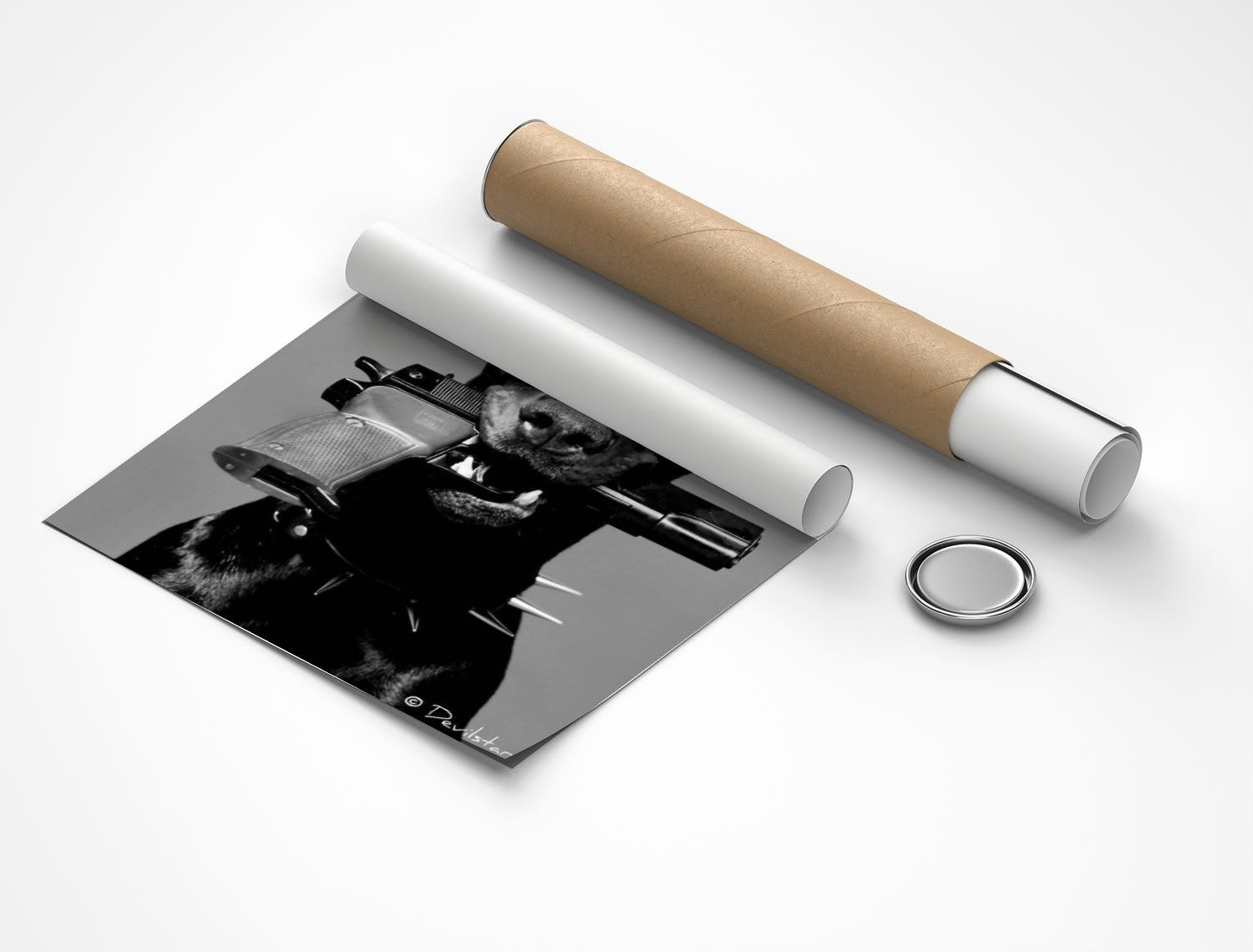 Rolled poster