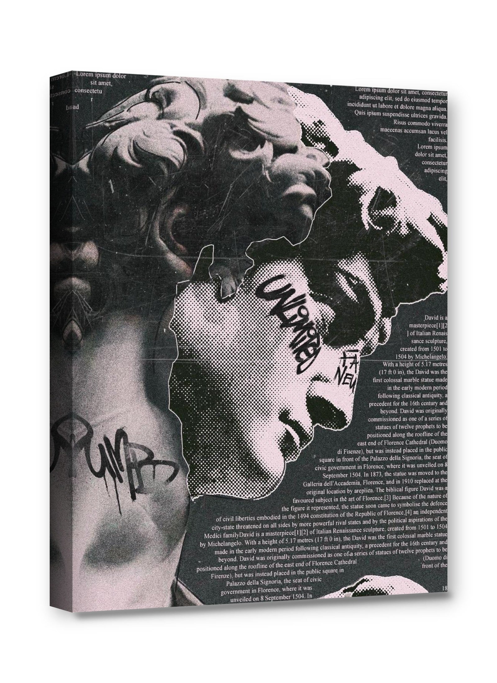 Framed canvas