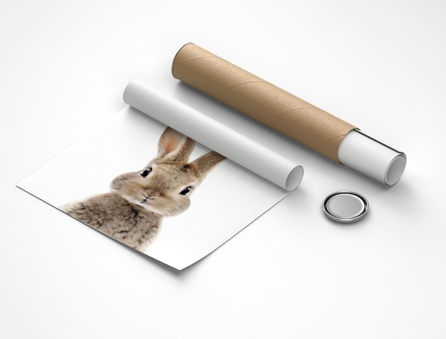 Rolled poster