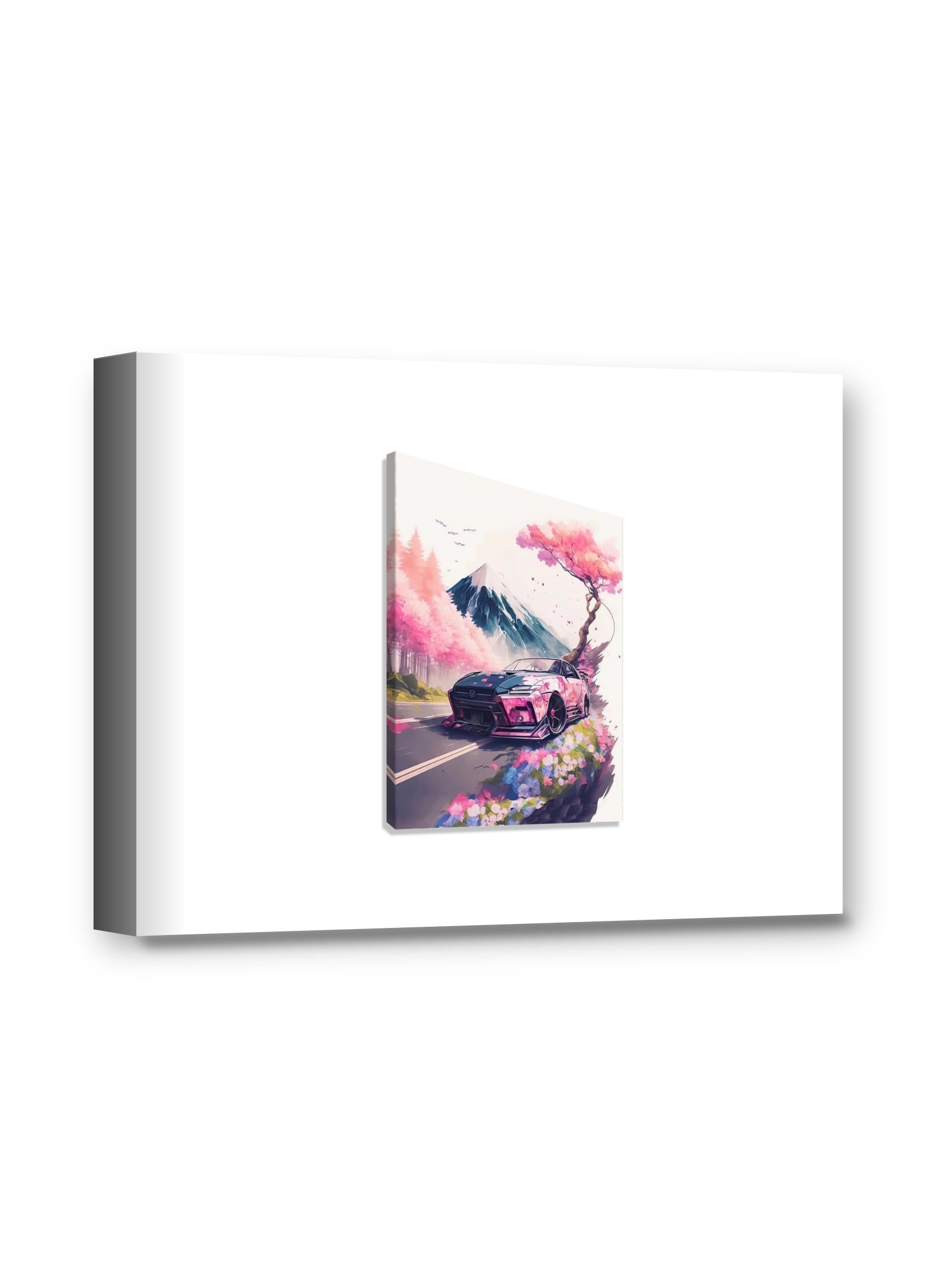 Framed canvas