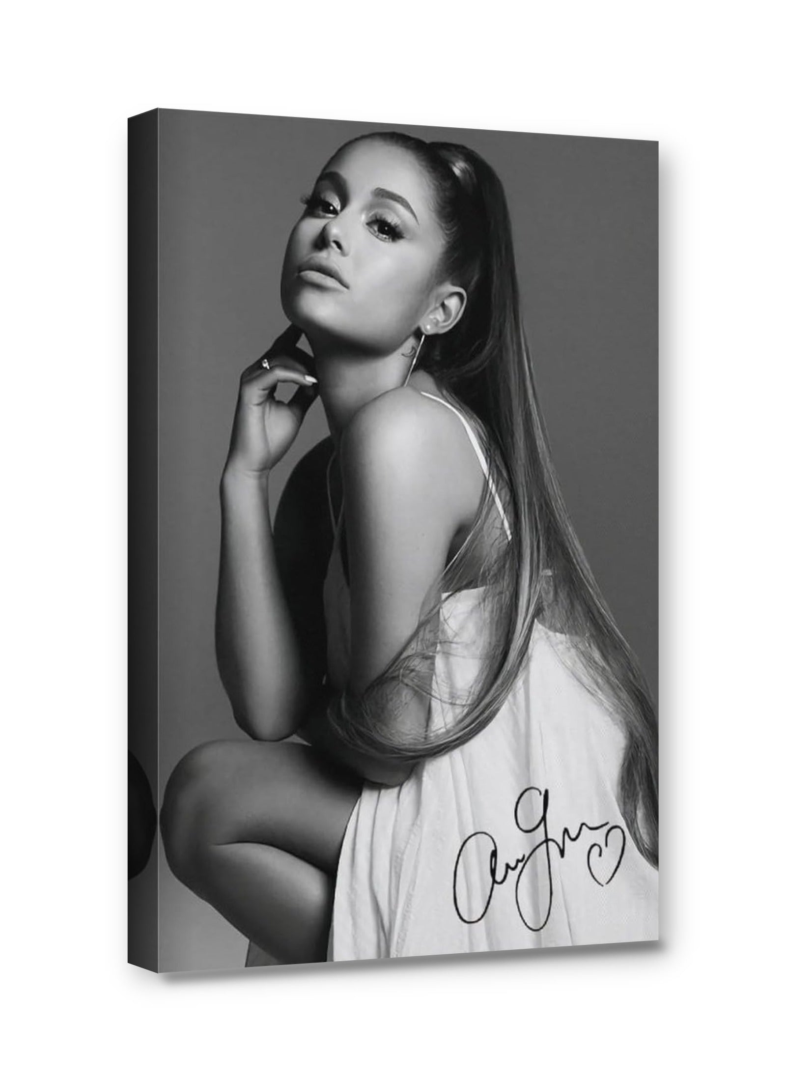 Framed canvas
