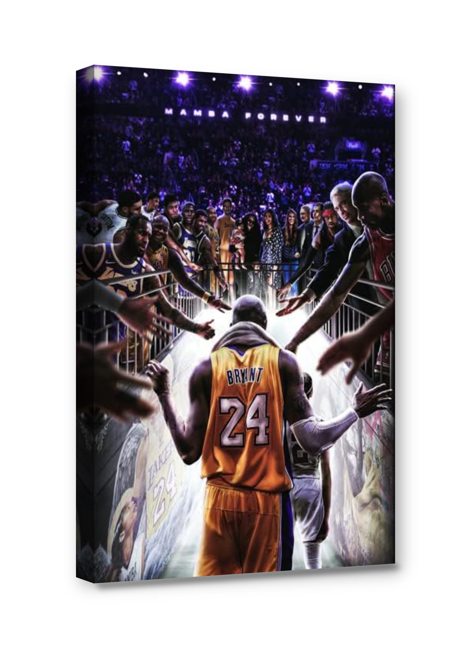 Framed canvas