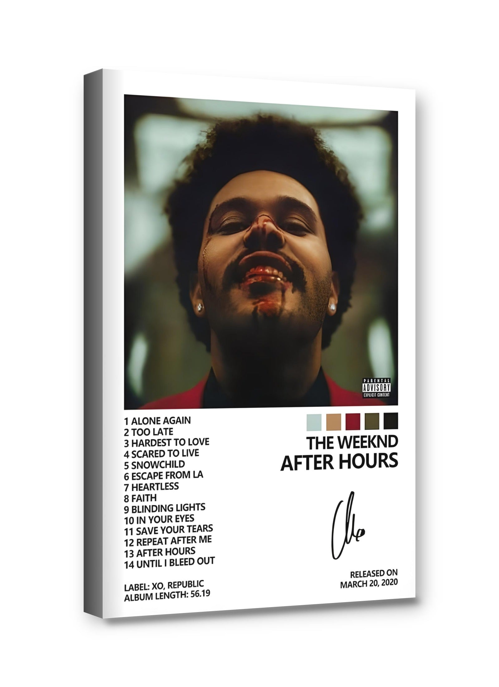 Framed canvas