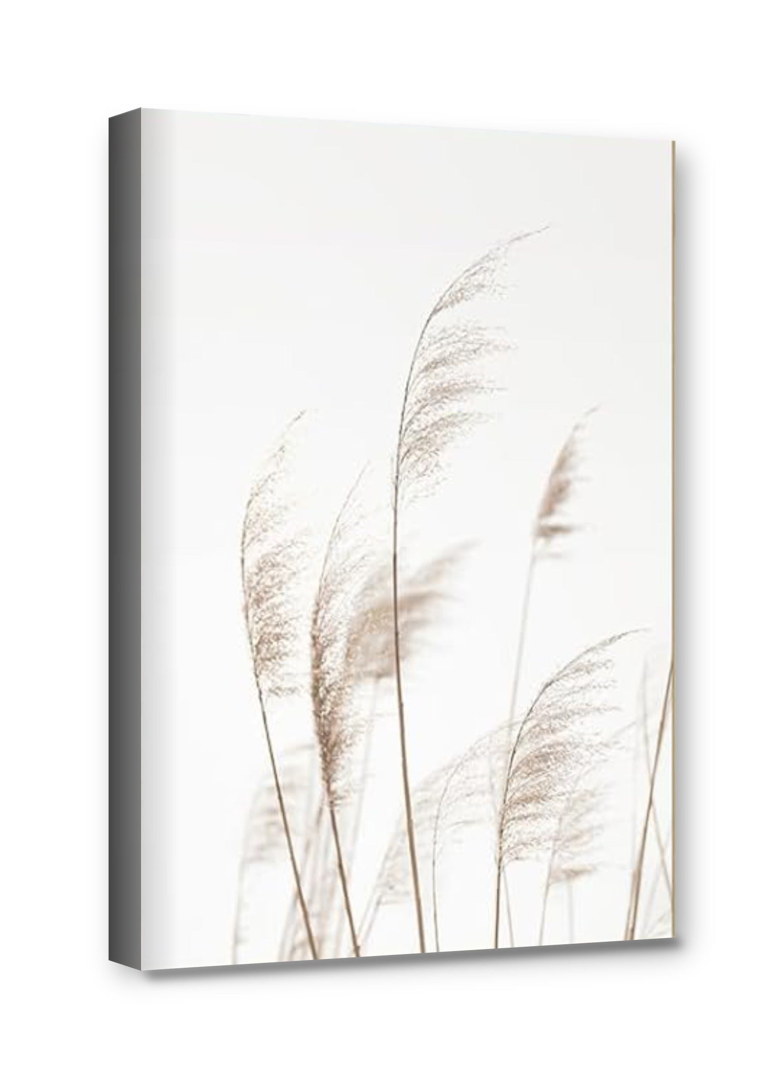 Framed canvas