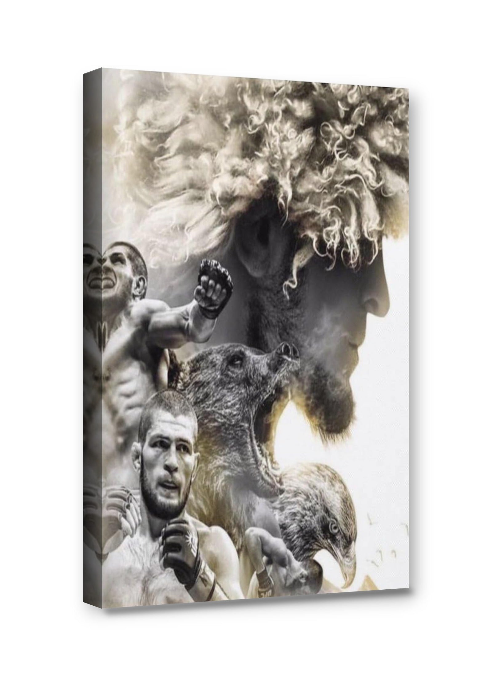 Framed canvas