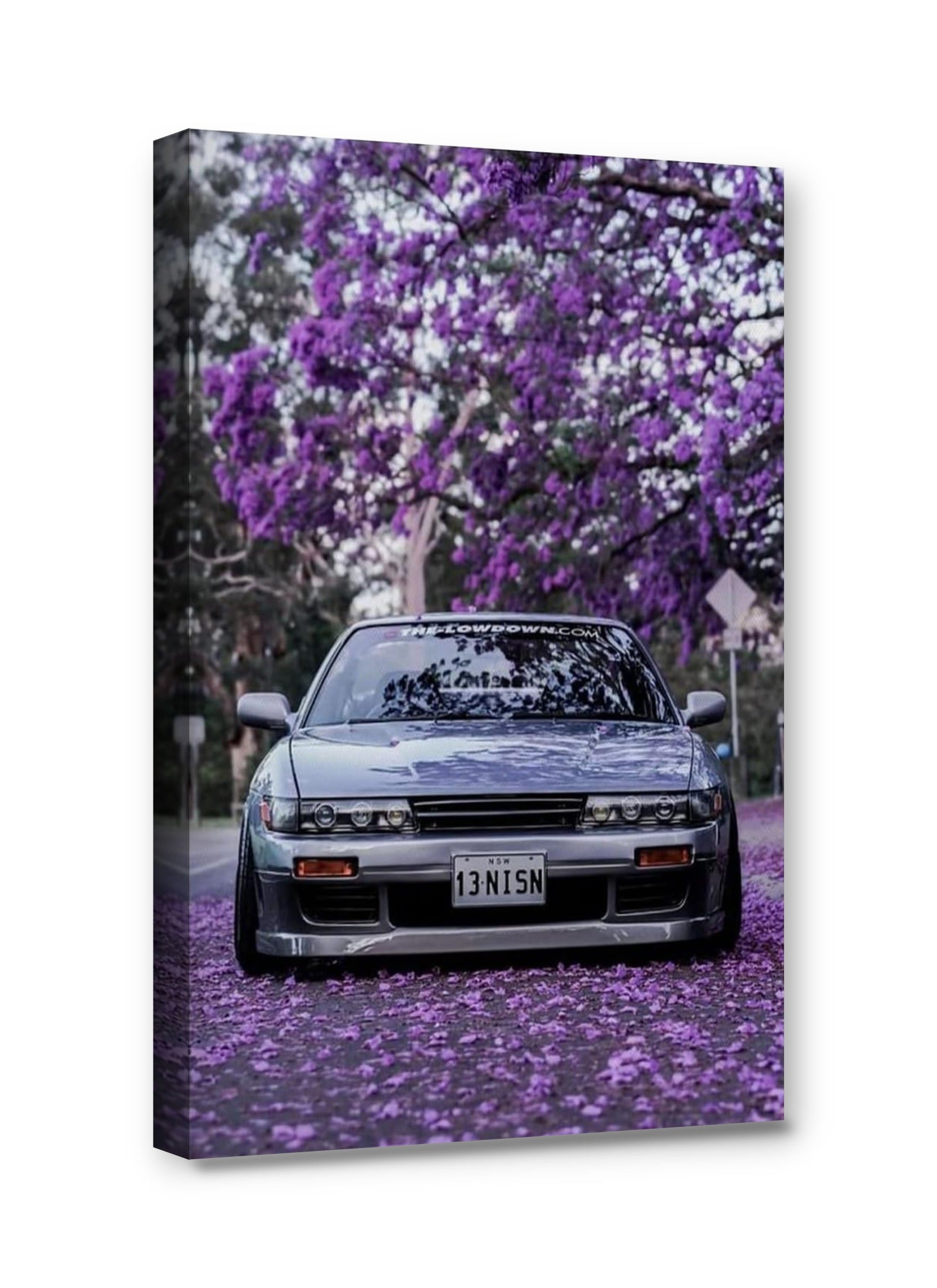 Framed canvas