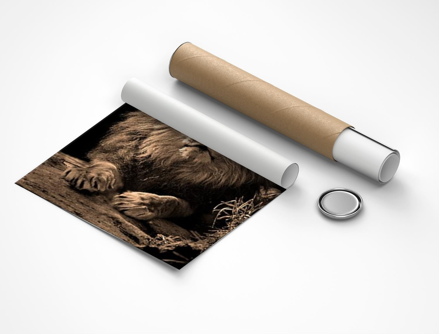 Rolled poster
