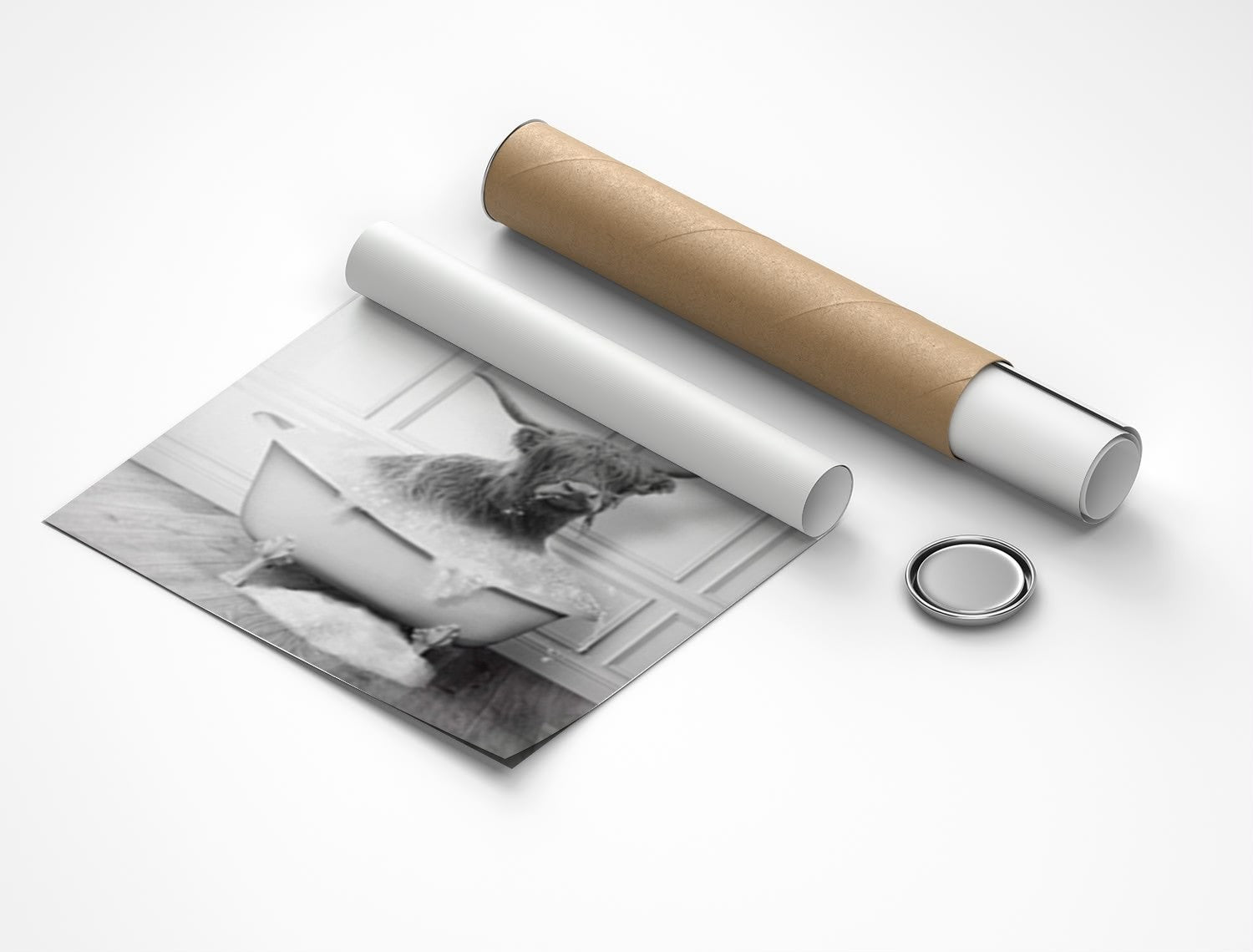 Rolled poster