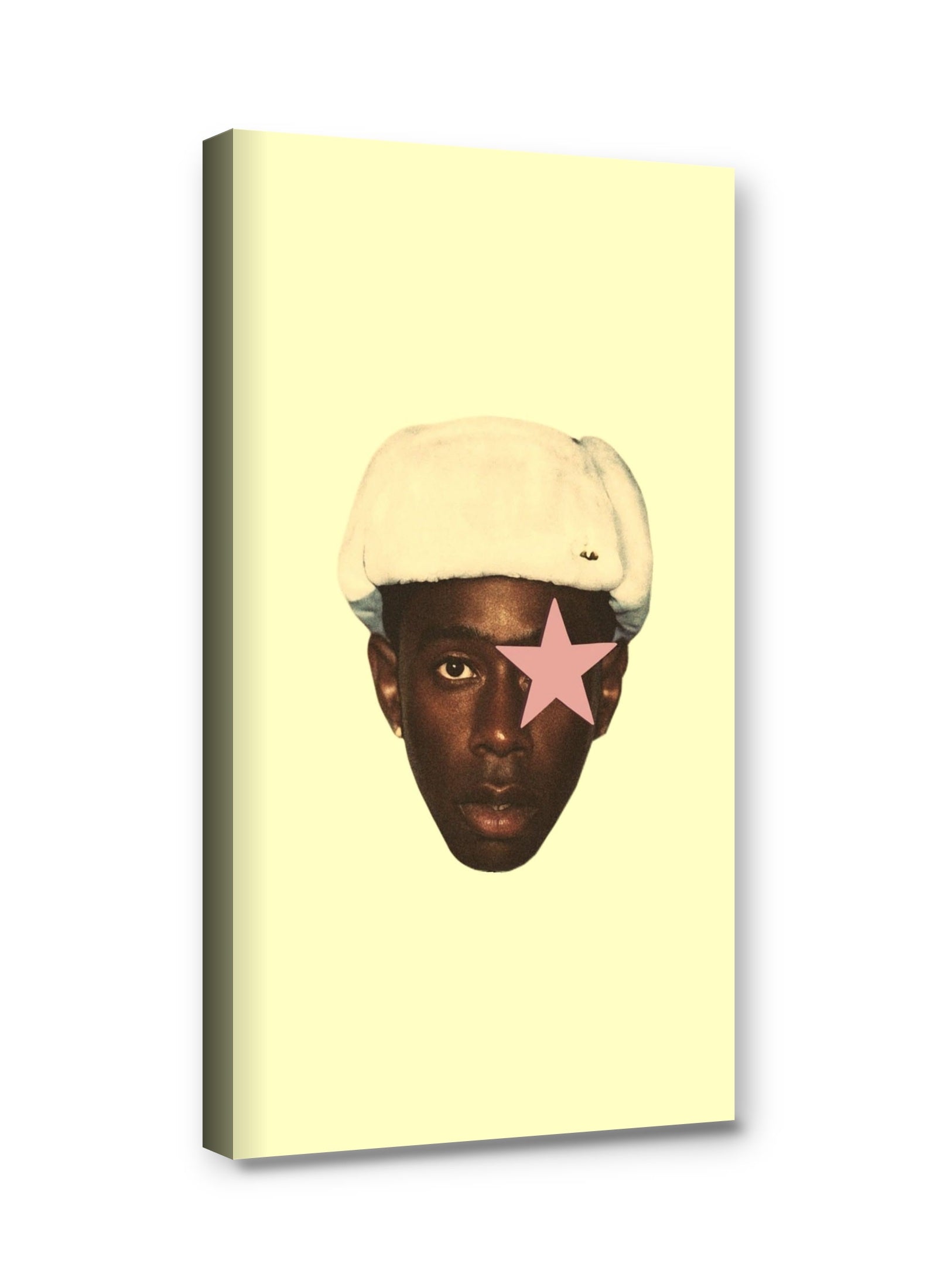 Framed canvas