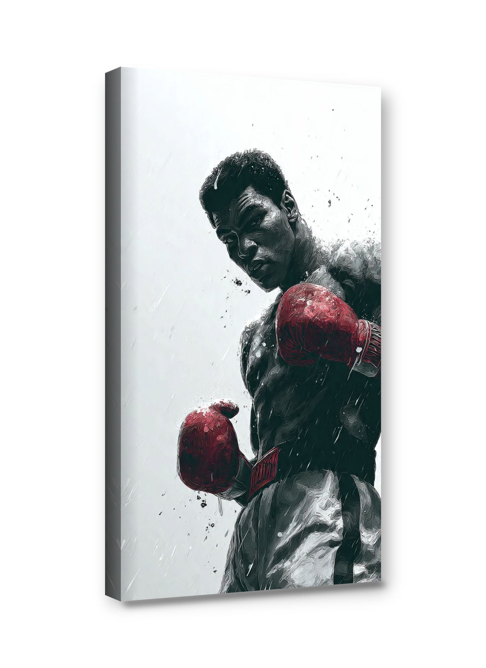Framed canvas