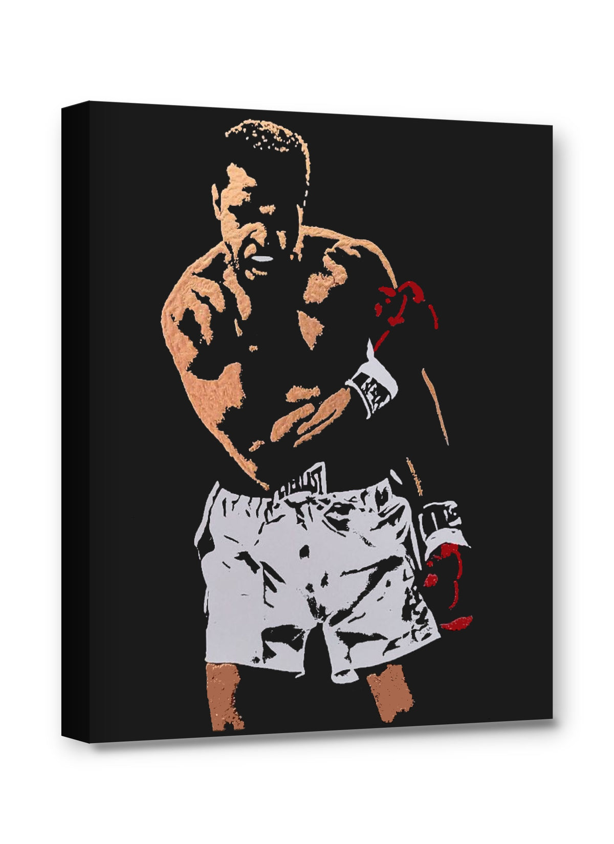 Framed canvas