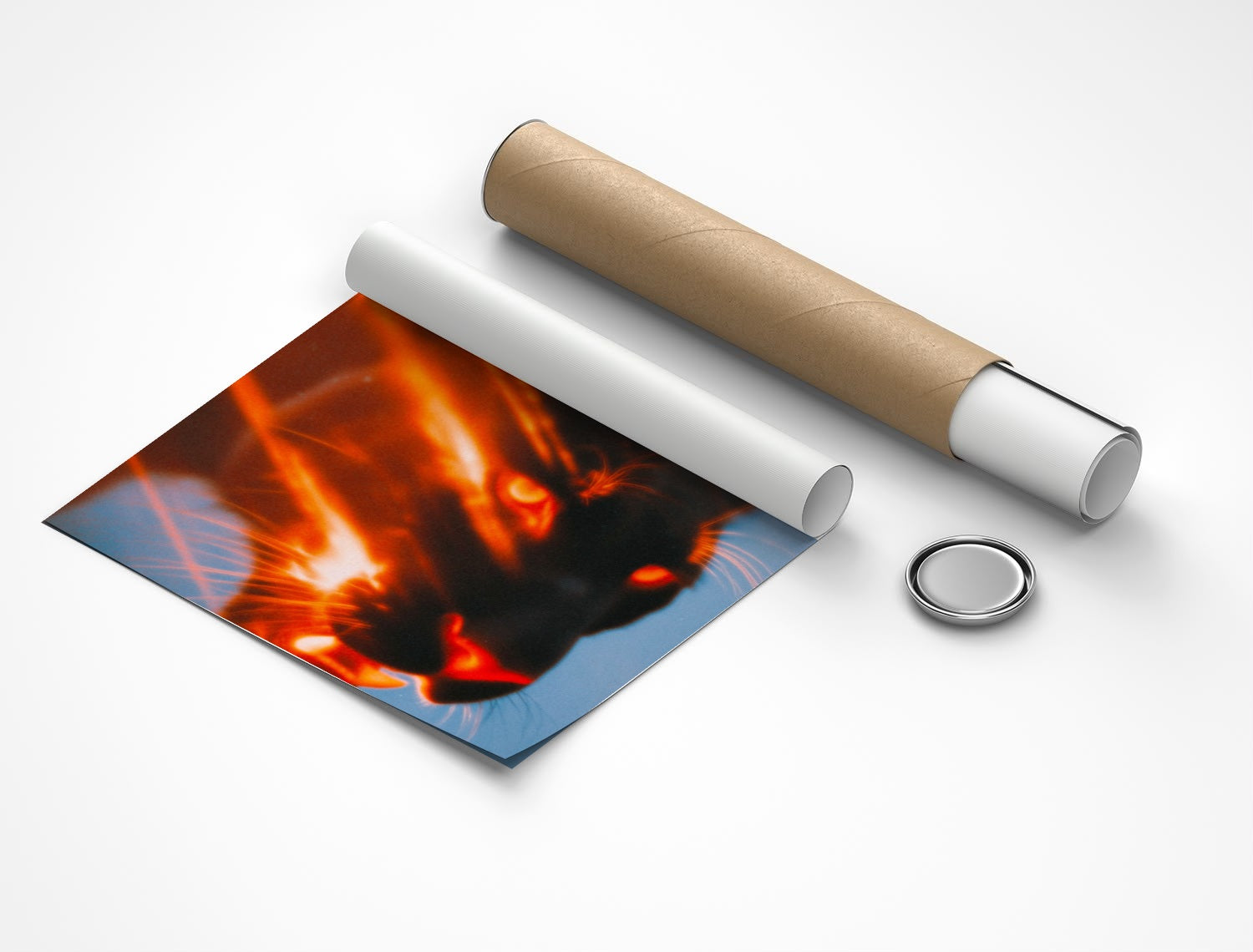 Rolled poster