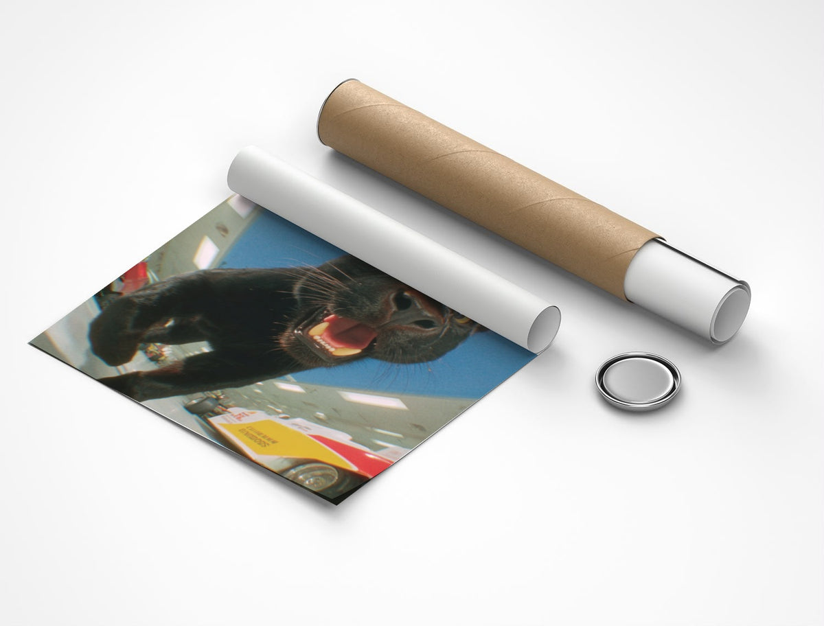 Rolled poster