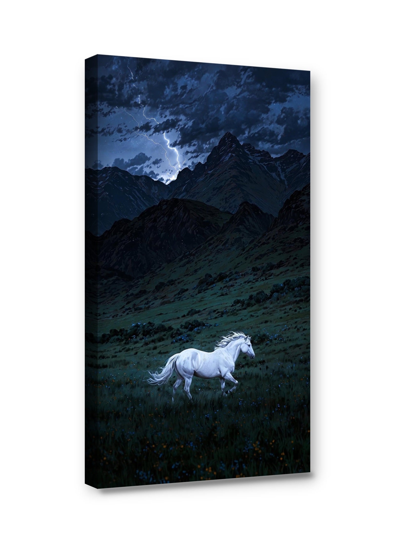 Framed canvas