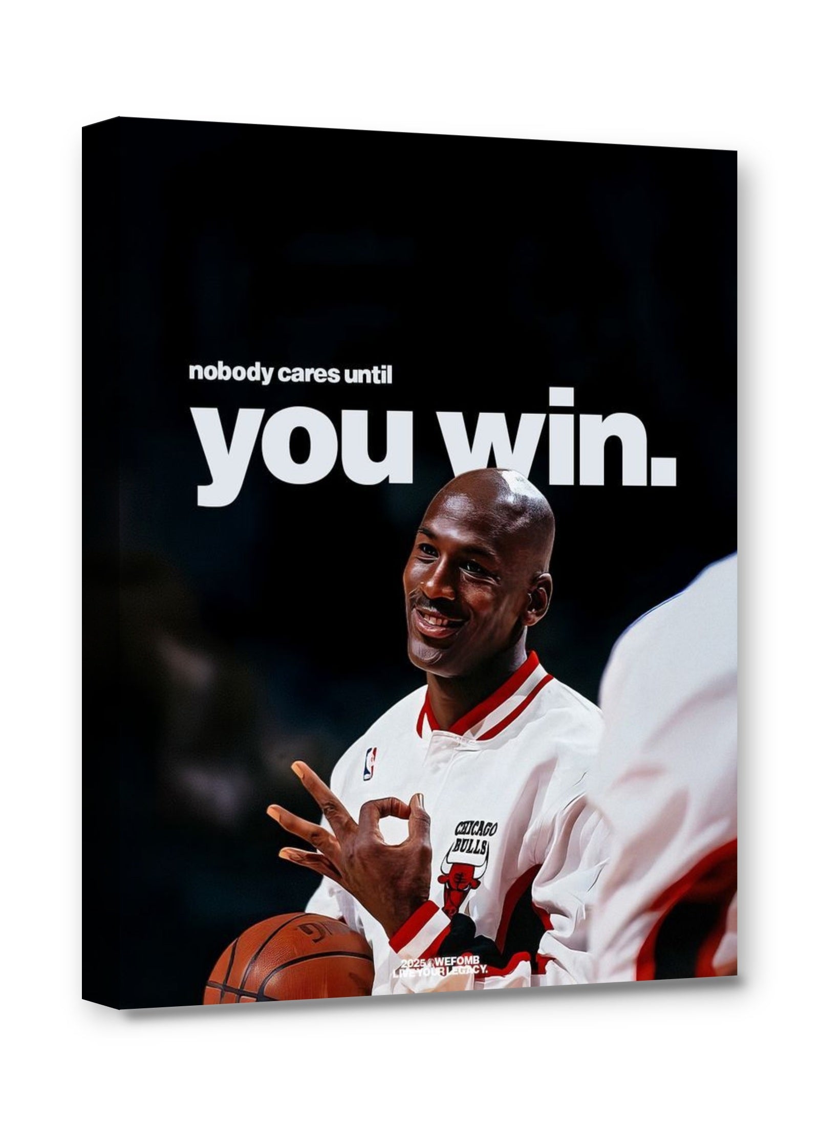 Framed canvas