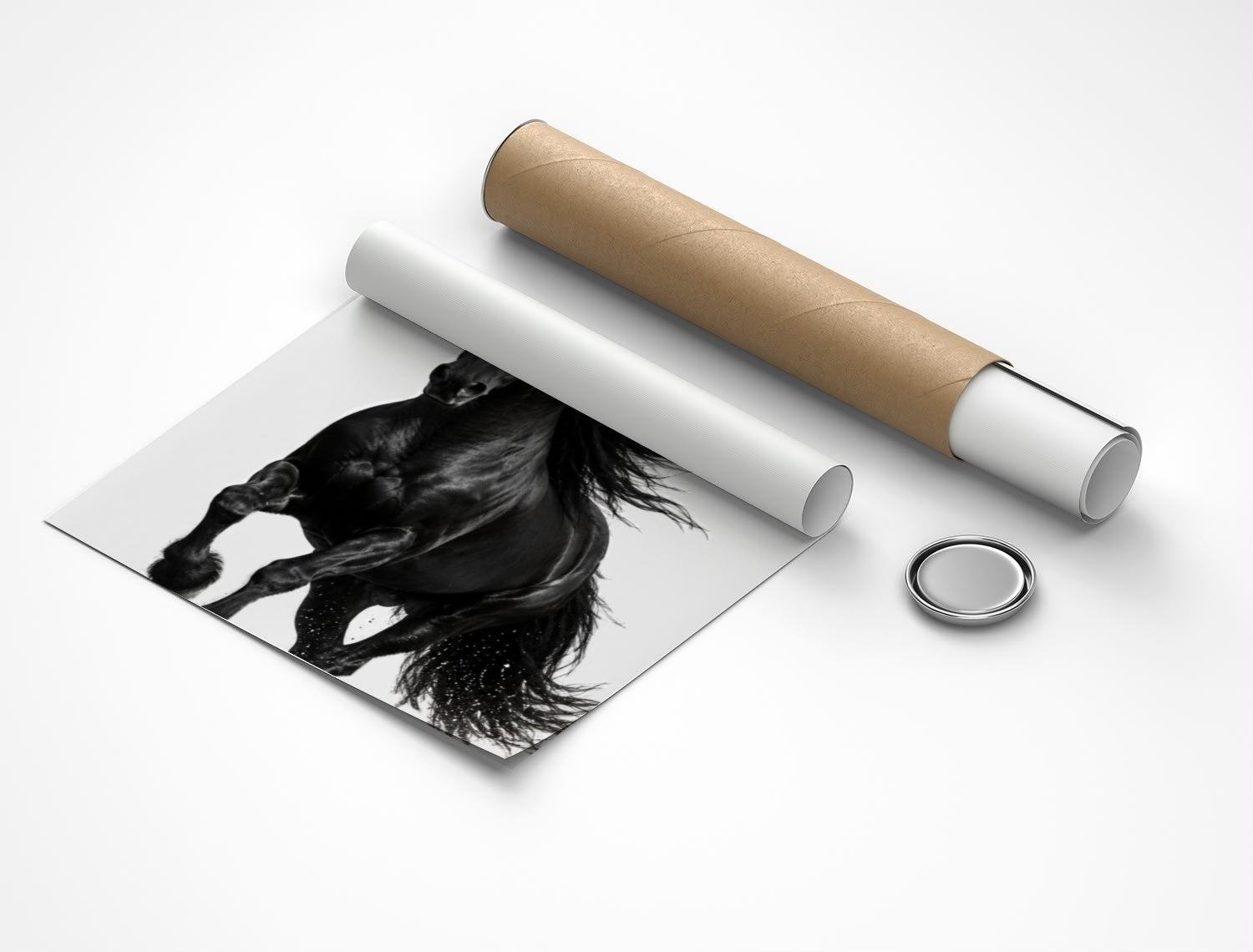 Rolled poster