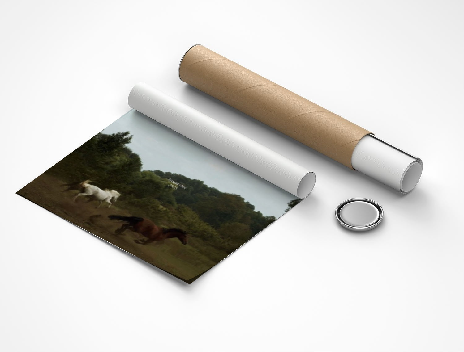 Rolled poster