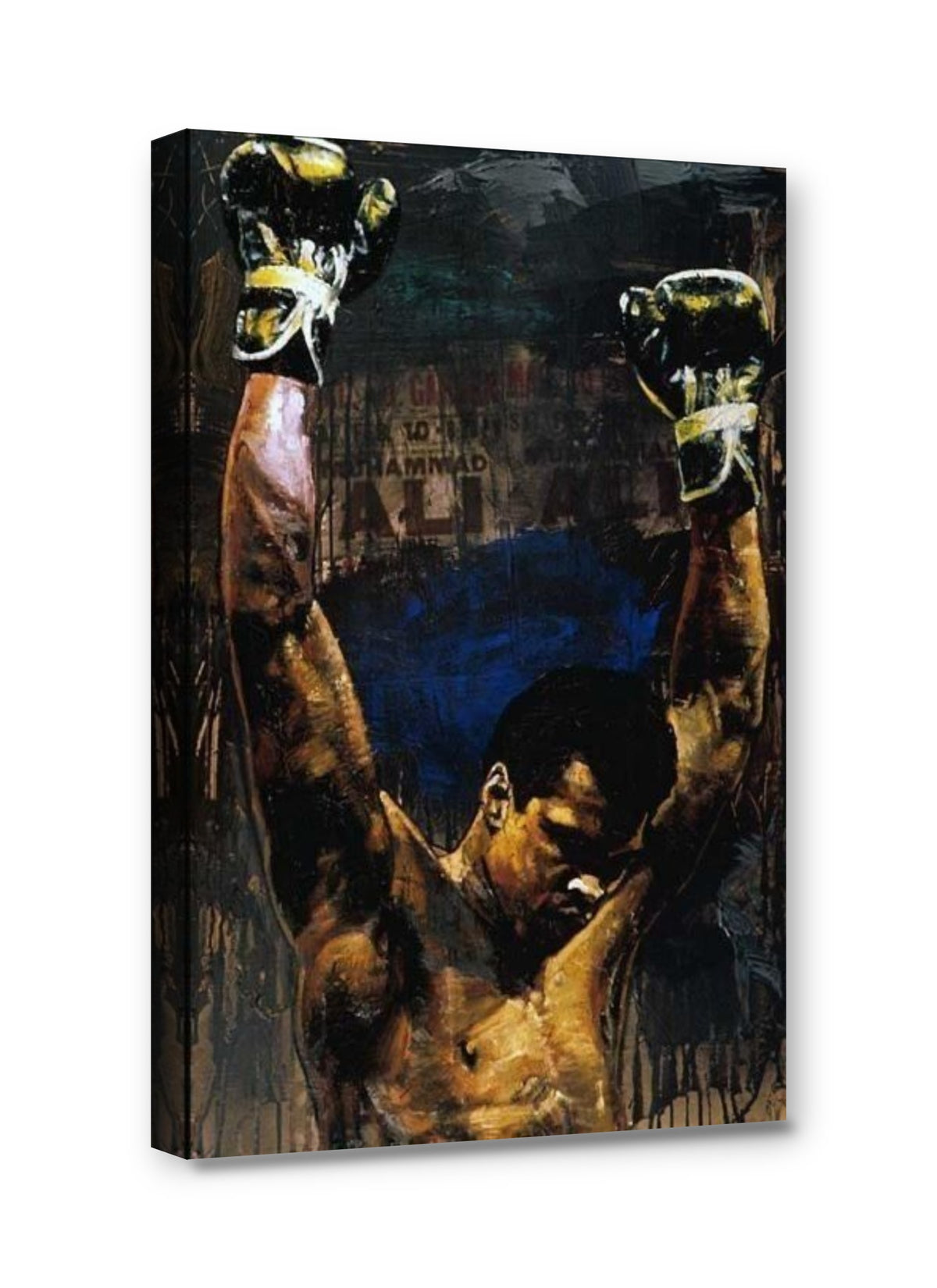 Framed canvas