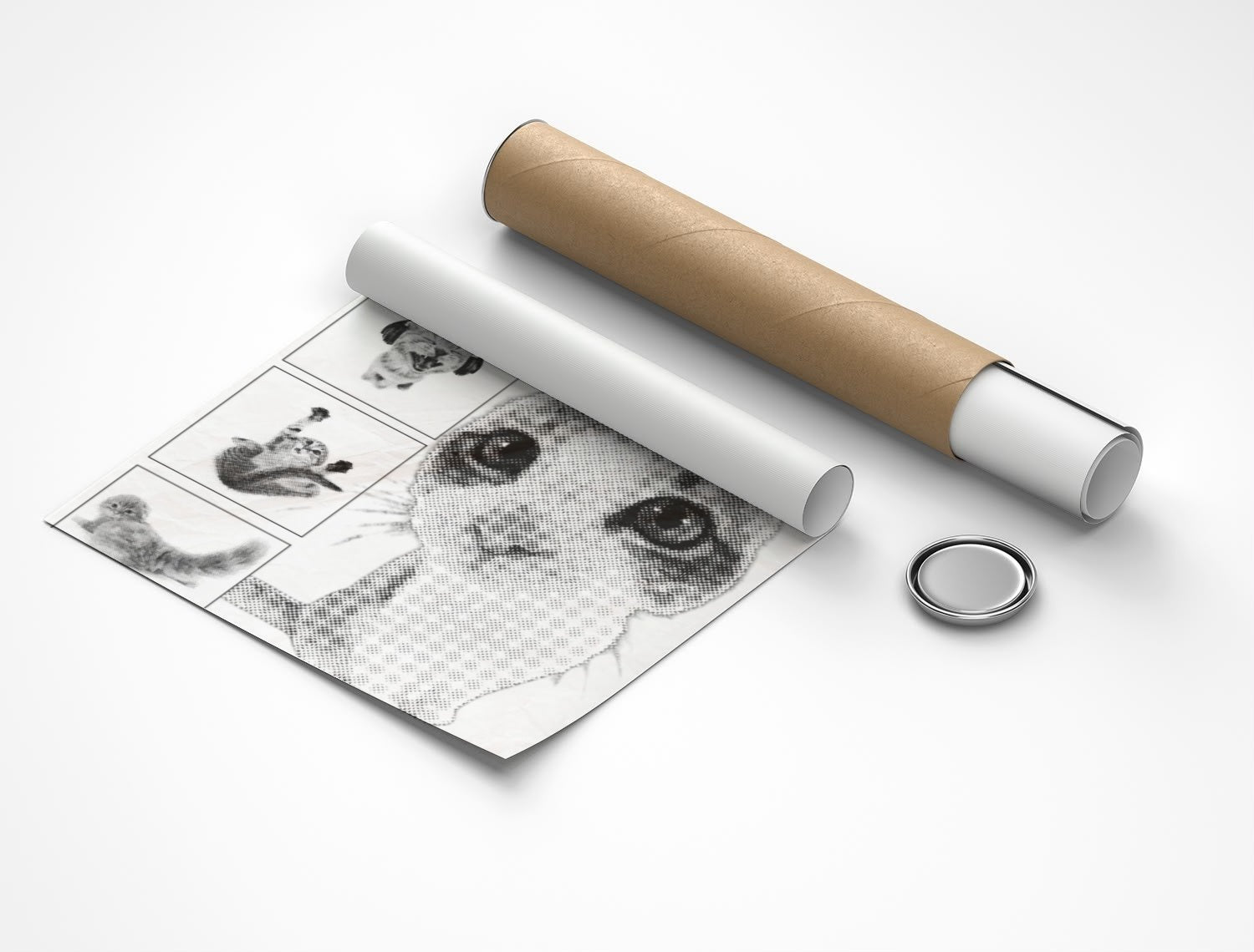 Rolled poster