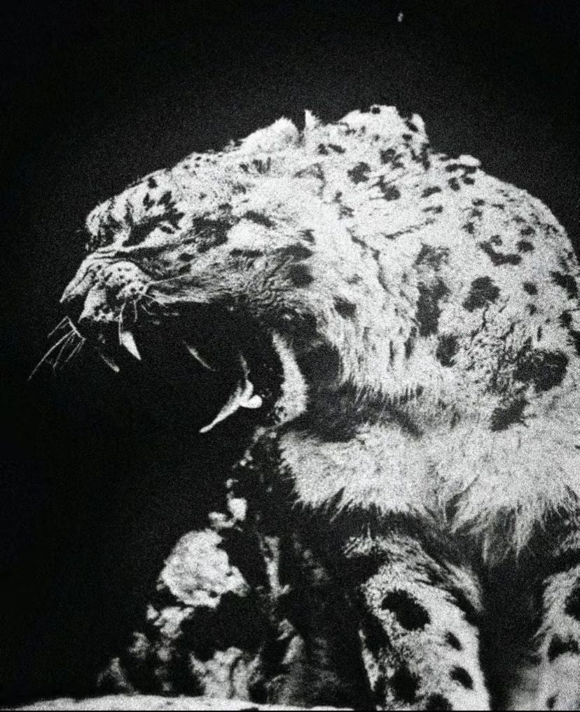 Original artwork