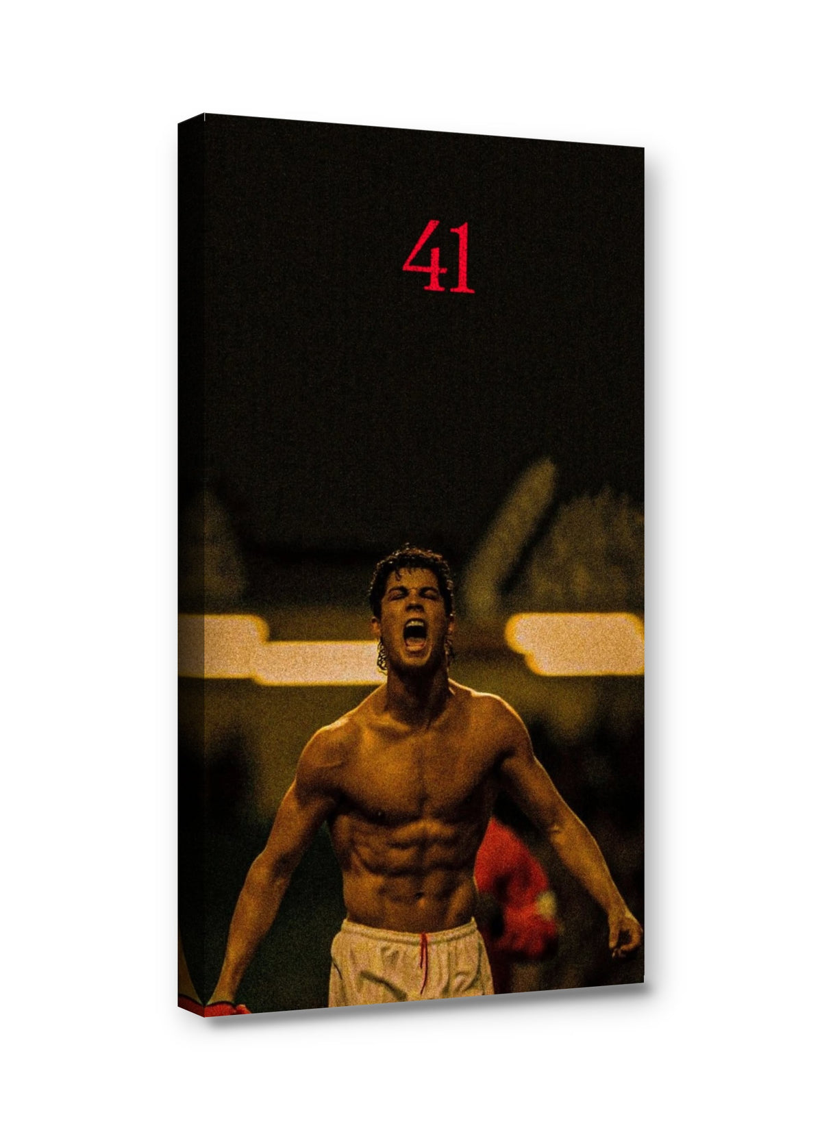 Framed canvas