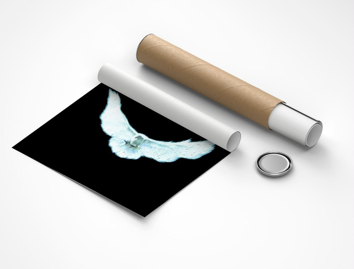 Rolled poster
