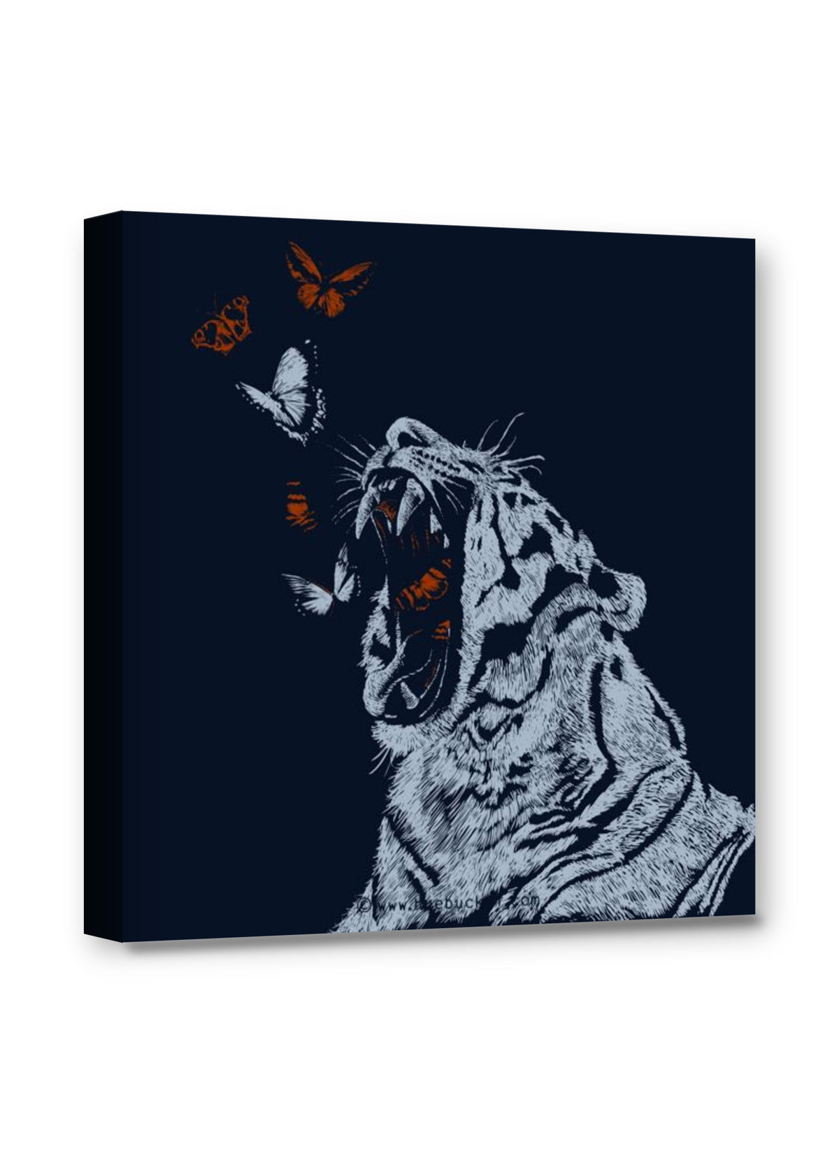 Framed canvas