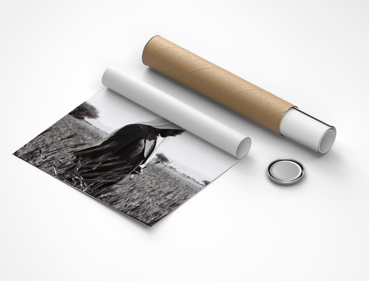Rolled poster